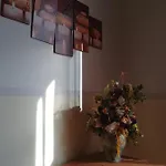 L'albero Amico * Racalmuto